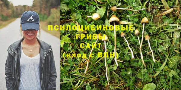 ECSTASY Алексеевка