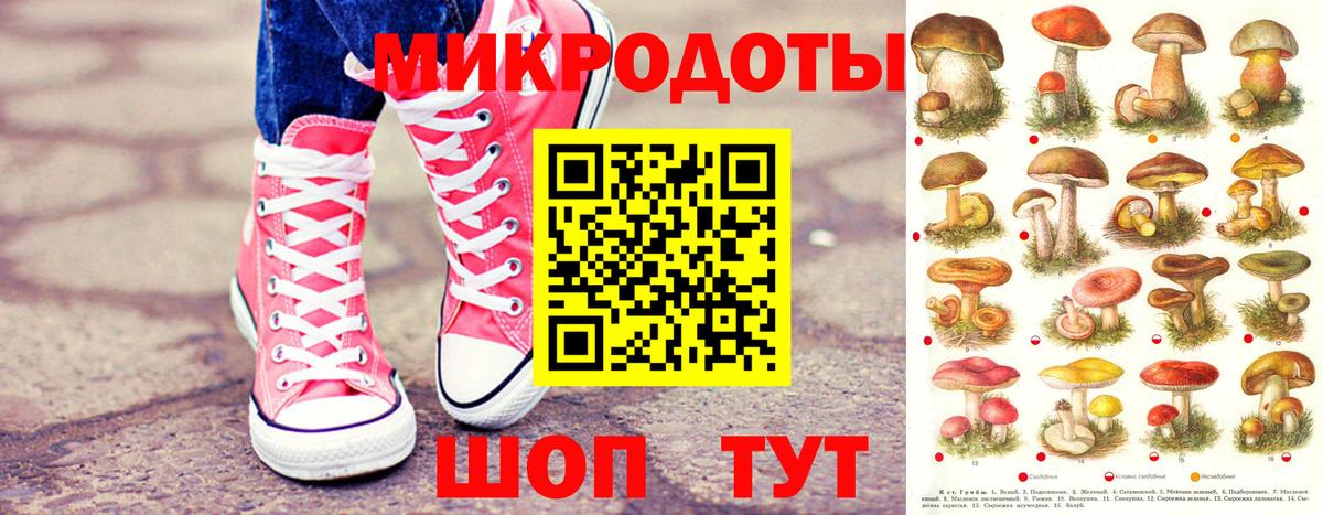 Галлюциногенные грибы мухоморы Апшеронск