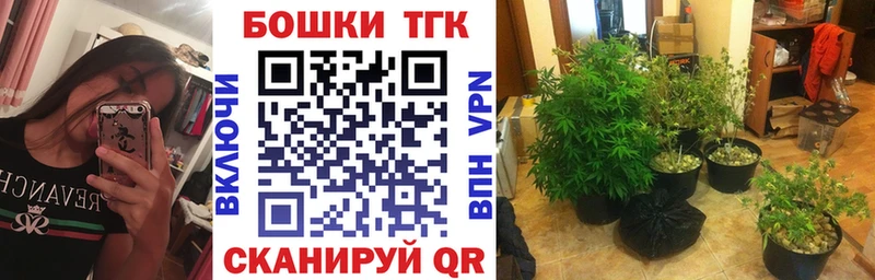 Шишки марихуана VHQ  где найти наркотики  Апшеронск 